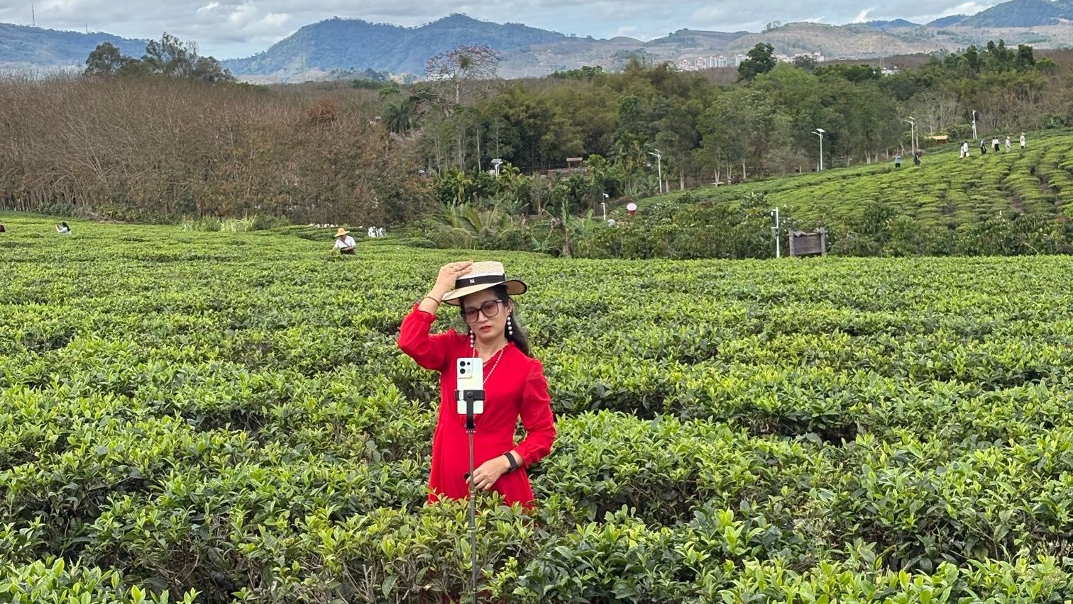tea_girl