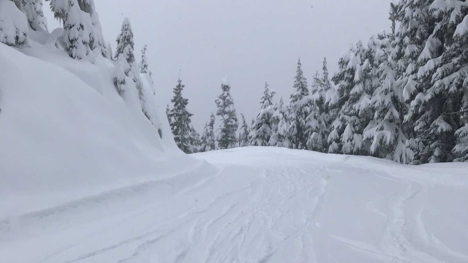 whistler_1